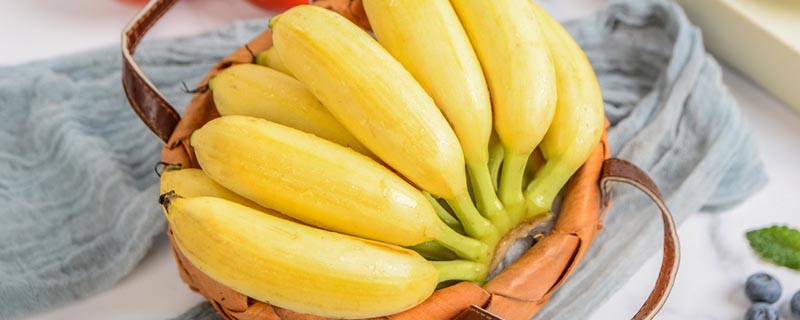香蕉有种子吗 香蕉的种子是什么样