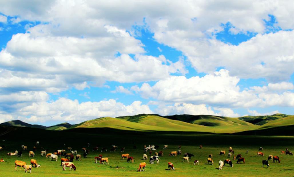 赤峰巴林左旗景点_白音乌拉游牧文化区